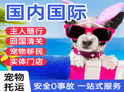 北京密云穆家峪空运国际宠物托运 【国